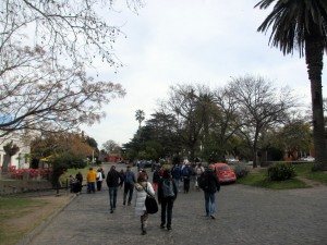 IMG_1771