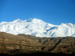 IMG_1896