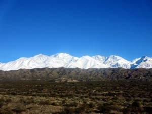 IMG_1899